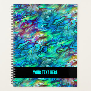 Neuseeland Abalone Paua Schalenmuster 1a Planer