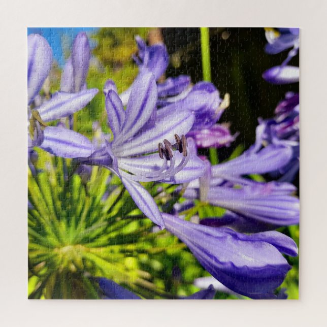 Neuseeland Agapanthus Violet Blume Blühen Puzzle (Vertikal)
