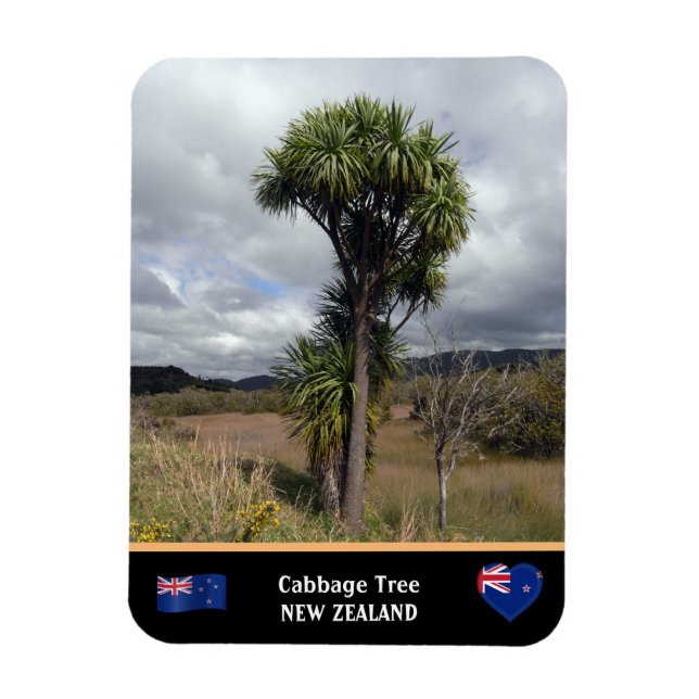 Neuseeland - Cabbage Tree, Reisen / Wildnis Magnet (Vertikal)