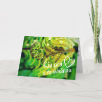 Neuseeland Kiwi Green Fern Kia Ora Māori