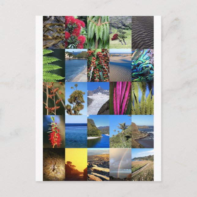 Neuseeland Kiwiana Naturszenen Postkarte (Vorderseite)