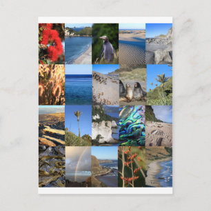 Neuseeland Küstenlandschaft Kiwiana Postkarte