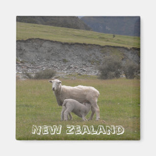 Neuseeland, Lammfüttern (Kühlschrankmagnet) Magnet