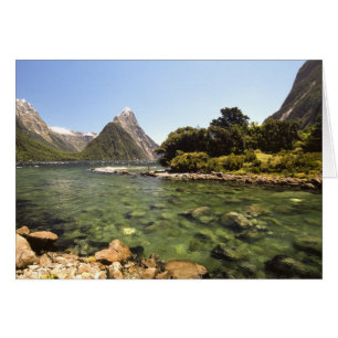 Neuseeland, Miter Peak & Bowen