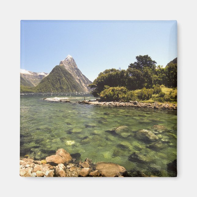 Neuseeland, Miter Peak & Bowen Magnet (Vorne)