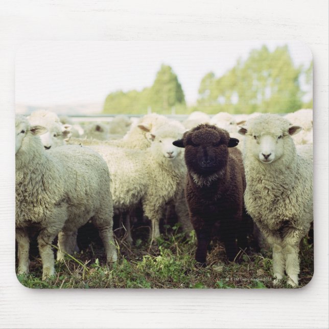 Neuseeland Mousepad (Vorne)