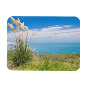 Neuseeland, Nordinsel, Cape Reinga Magnet