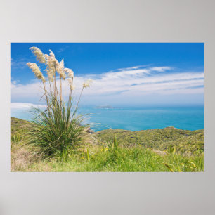 Neuseeland, Nordinsel, Kap Reinga 2 Poster