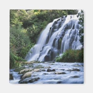 Neuseeland, Nordinsel, Karangahake Gorge, Magnet