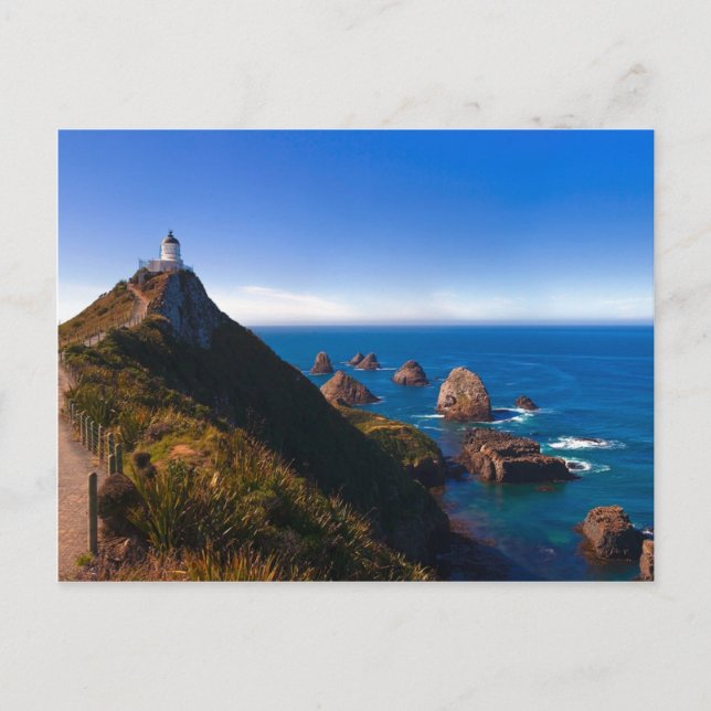 Neuseeland: Nugget Point Postkarte (Vorderseite)