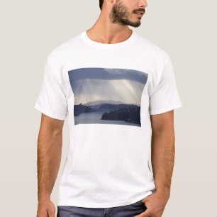 Neuseeland, Otago, Dunedin, Lichtstrahlen über T-Shirt