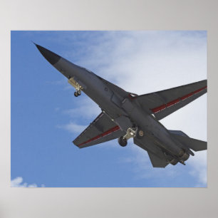 Neuseeland, Otago, Wanaka, überall Poster