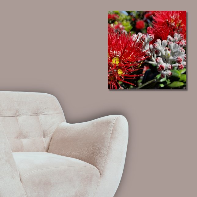 Neuseeland Pohutukawa Tree Red Blossom Poster (New Zealand Pohutukawa Tree Red Blossom Poster, Living Room)