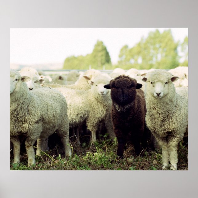 Neuseeland Poster (Vorne)