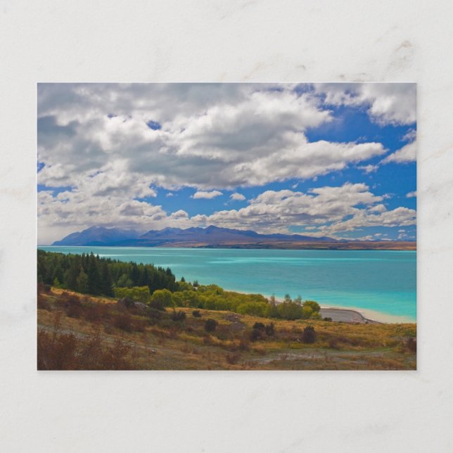 Neuseeland: Pukaki Postkarte (Vorderseite)
