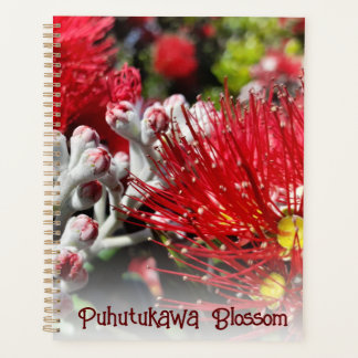 Neuseeland Red Christmas Tree Blossom Planer