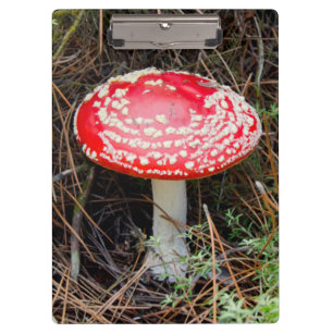 Neuseeland, Rotorua, Taupo Vulkanzone Klemmbrett