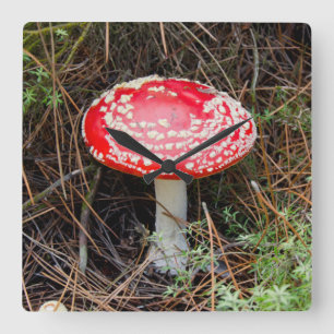 Neuseeland, Rotorua, Taupo Vulkanzone Quadratische Wanduhr