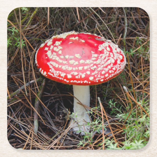 Neuseeland, Rotorua, Taupo Vulkanzone Rechteckiger Pappuntersetzer (Vorderseite)