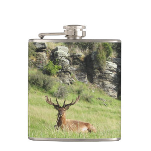 Neuseeland Stags Flachmann