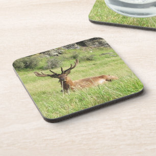 Neuseeland Stags Getränkeuntersetzer