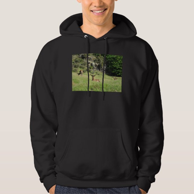 Neuseeland Stags Hoodie (Vorderseite)