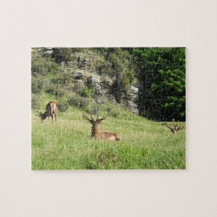 Neuseeland Stags Puzzle