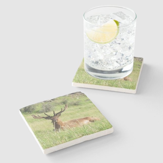 Neuseeland Stags Steinuntersetzer (Seitenansicht)