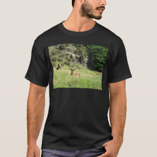 Neuseeland Stags T-Shirt