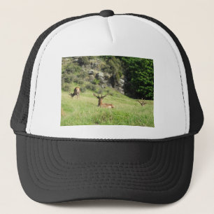 Neuseeland Stags Truckerkappe