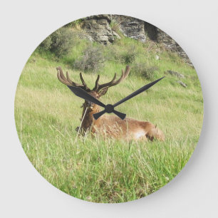 Neuseeland-Sterne Große Wanduhr