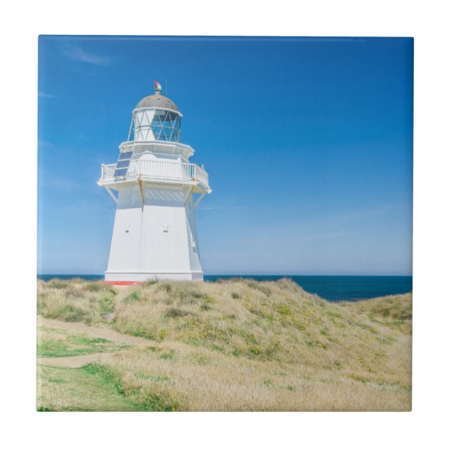 Neuseeland, Südinsel, Catlins, Waipapa Fliese (Vorderseite)