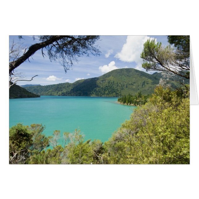 Neuseeland, Südinsel, Marlborough Sounds. (Vorderseite (Horizontal))
