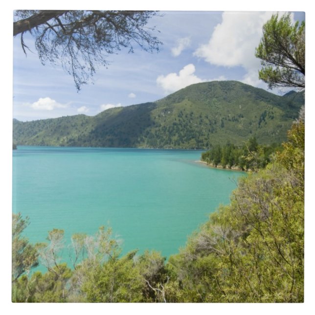 Neuseeland, Südinsel, Marlborough Sounds. Fliese (Vorderseite)