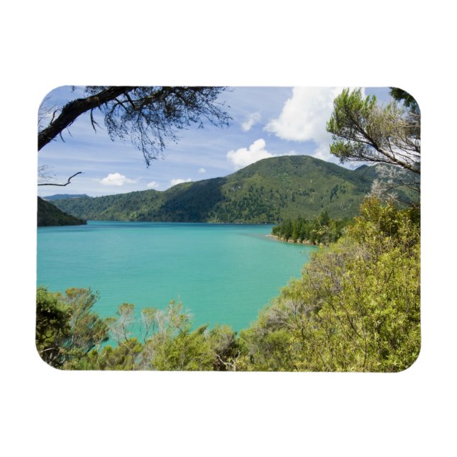 Neuseeland, Südinsel, Marlborough Sounds. Magnet (Horizontal)