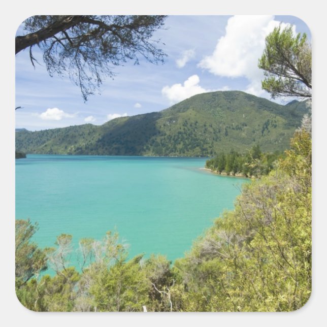 Neuseeland, Südinsel, Marlborough Sounds. Quadratischer Aufkleber (Vorderseite)