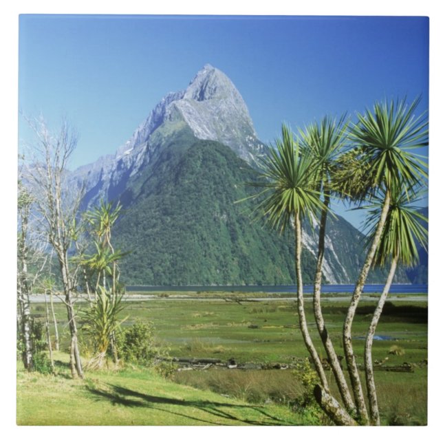 Neuseeland, Südinsel, Miter Peak, Fliese (Vorderseite)