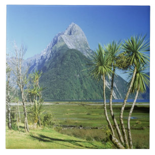 Neuseeland, Südinsel, Mitre Peak, Fliese
