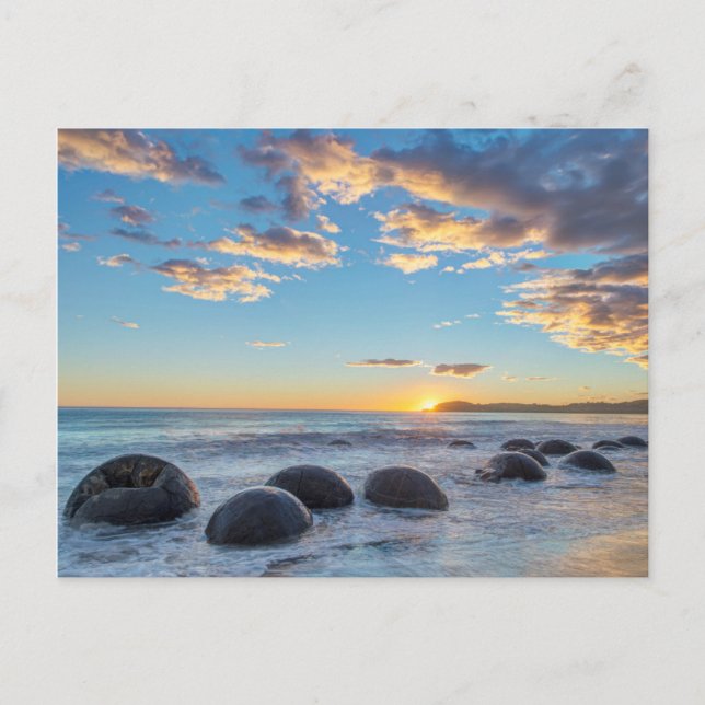 Neuseeland, Südinsel, Moeraki Boulders Postkarte (Vorderseite)