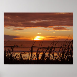 Neuseeland Sunset Poster