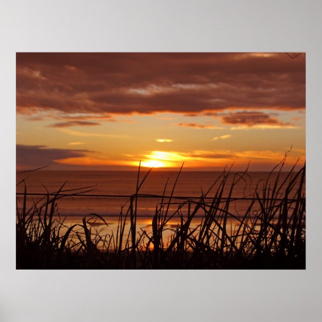 Neuseeland Sunset Poster (Vorne)