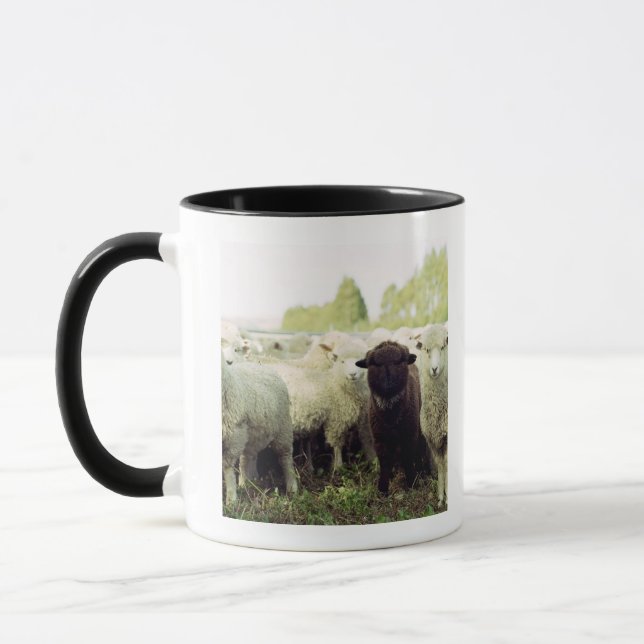 Neuseeland Tasse (Links)