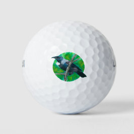 Neuseeland Tui - Malerei in Acryl Golfball