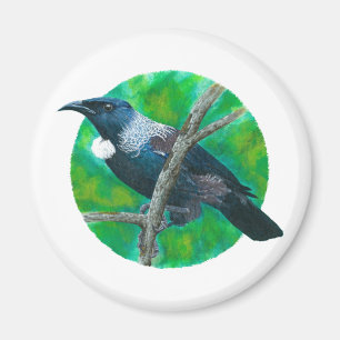 Neuseeland Tui - Malerei in Acryl Magnet
