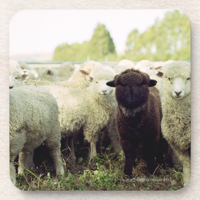 Neuseeland Untersetzer (Vorderseite)