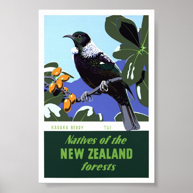 Neuseeland Vintage Travel Poster neu (Vorne)
