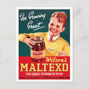 Neuseeland Vintage-Werbeplakat Postkarte