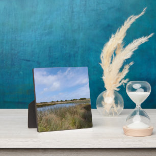 Neuseeland Westküste Auckland Whatipu Höhlenweg Fotoplatte