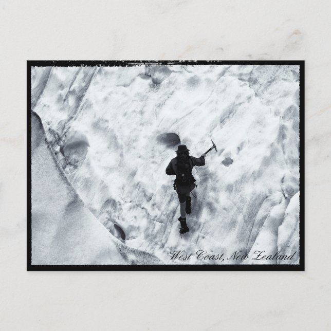 Neuseeland, Westküste, Glacier Walker Postkarte (Vorderseite)
