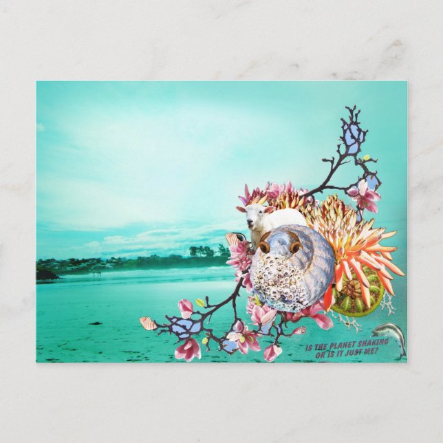 Neuseeländische Collage Postkarte (Vorderseite)